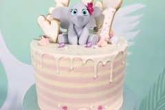 rigata con elefante