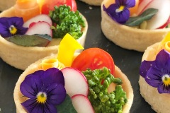 tartellette alle verdure